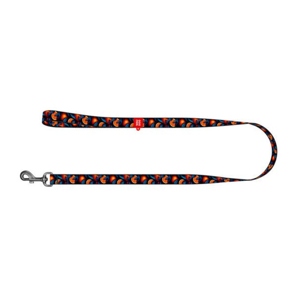 Nylon dog leash, pattern ''Oranges'' length 122 cm Waudog - Image 2