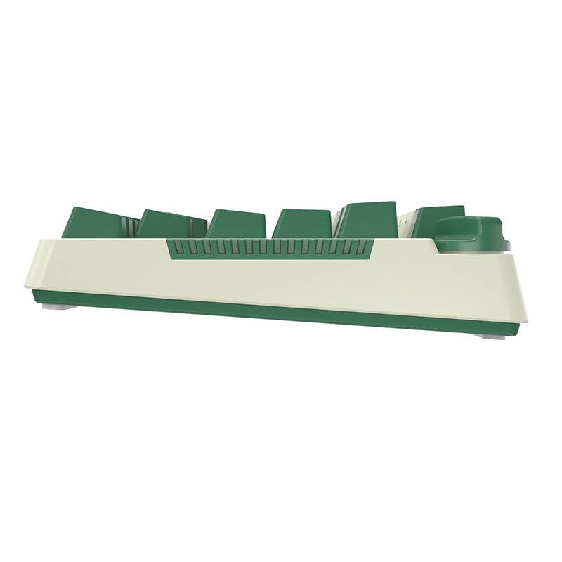 Royal Kludge RKH81 RGB Wireless Mechanical Keyboard, Sky cyan switch (green) (QWERTY) - Image 5