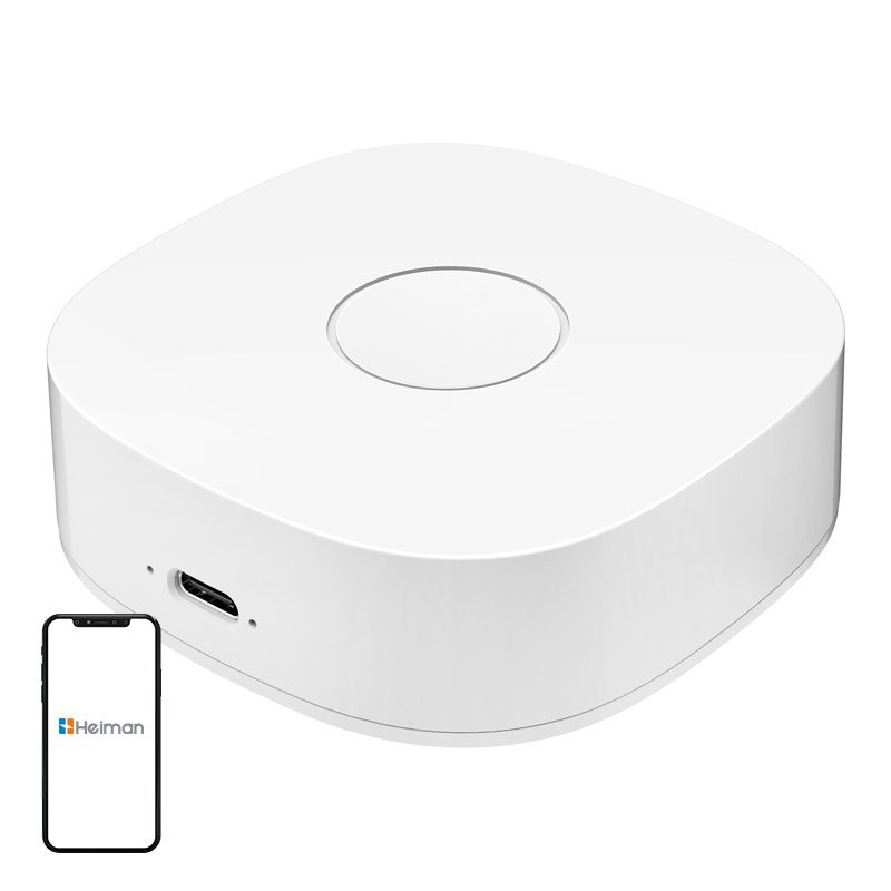 Smart home WS2GW-R WiFi