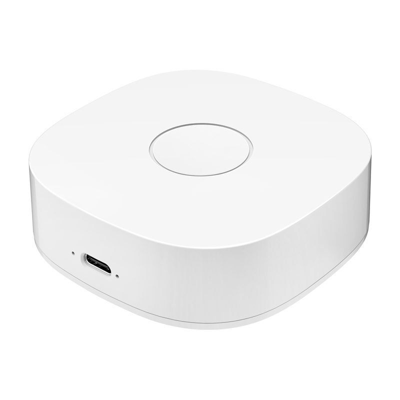 Smart home WS2GW-R WiFi - Image 2